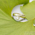 Gemini stone - zlat a damasteelov zsnubn - snubn prsten a moissanite 4 mm