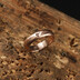 Prima gold red - hrub mat extra a srdko - zlat snubn prsten 